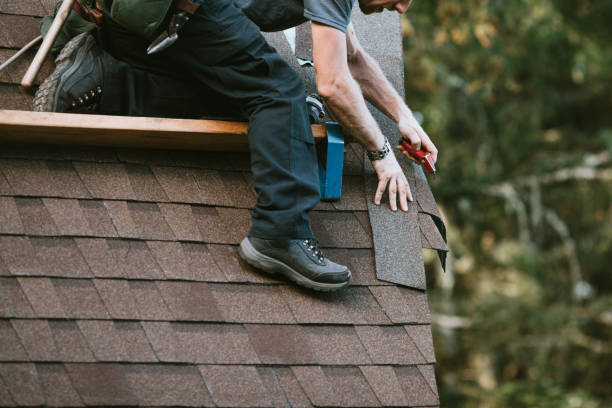 Best New Roof Installation  in Three Lakes, FL